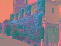 IMGP2818 edited (Medium)